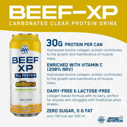 BEEF-XP Can 12x500ml