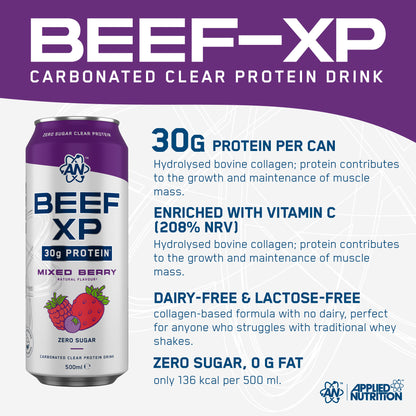 BEEF-XP Can 12x500ml