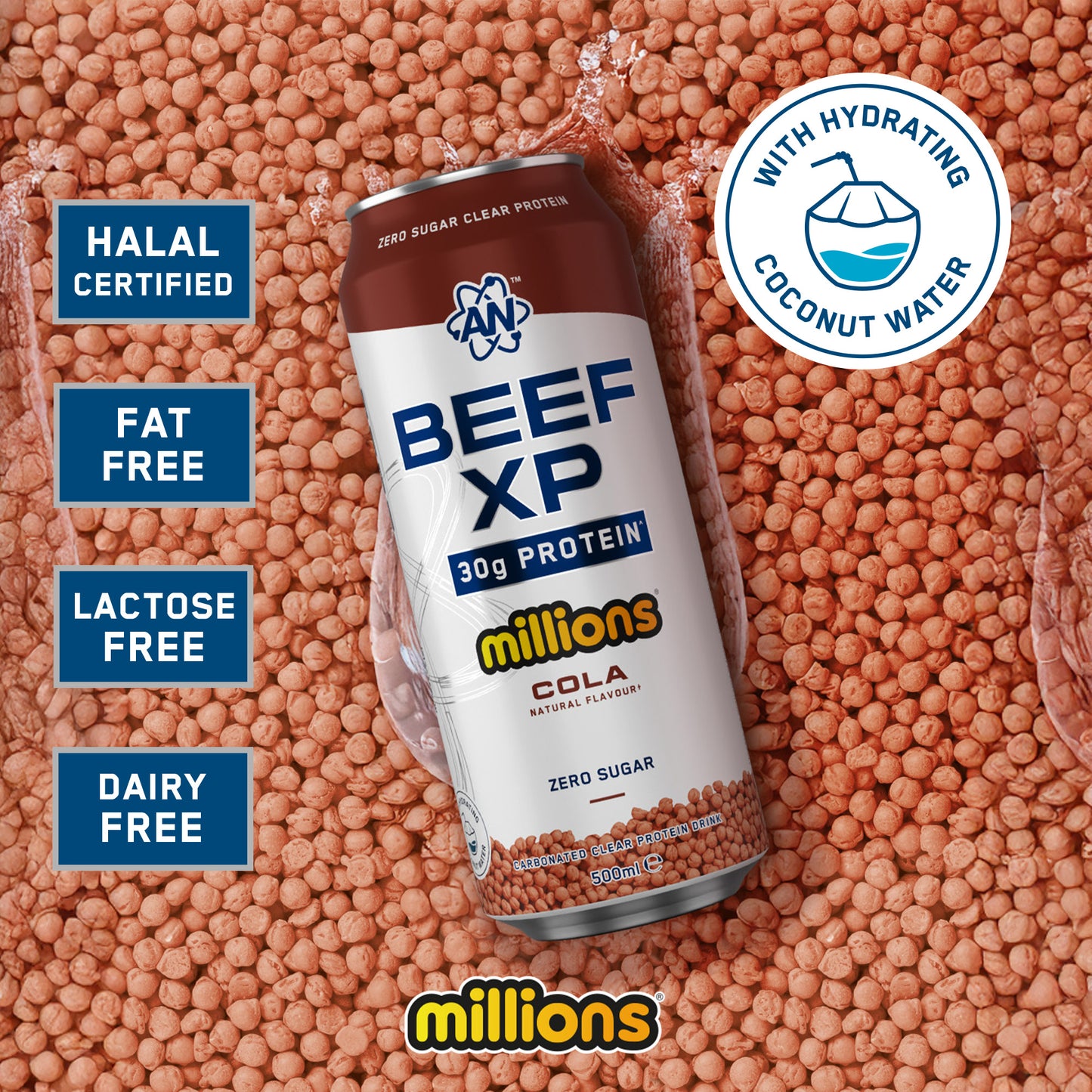 BEEF-XP Can 12x500ml