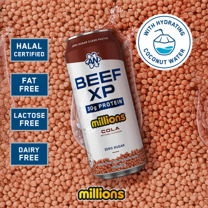 BEEF-XP Can 12x500ml