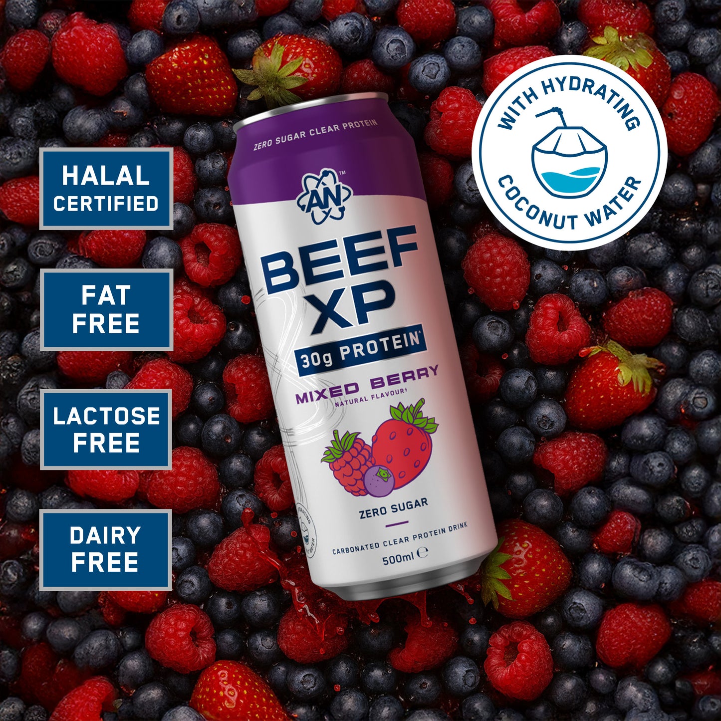 BEEF-XP Can 12x500ml
