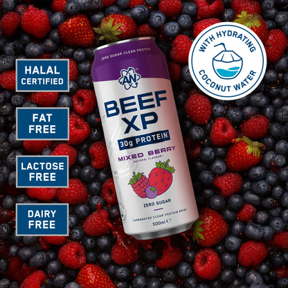 BEEF-XP Can 12x500ml