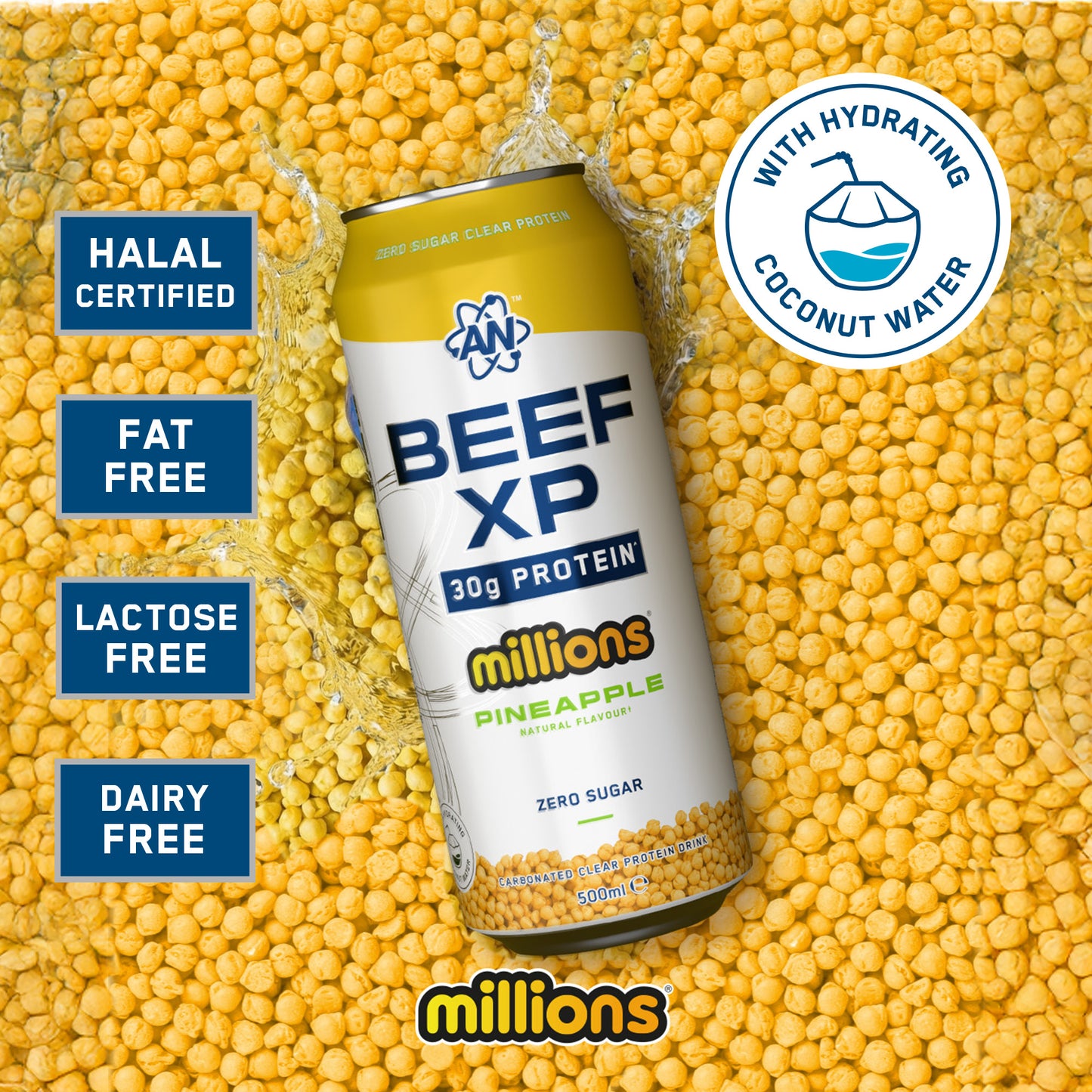 BEEF-XP Can 12x500ml