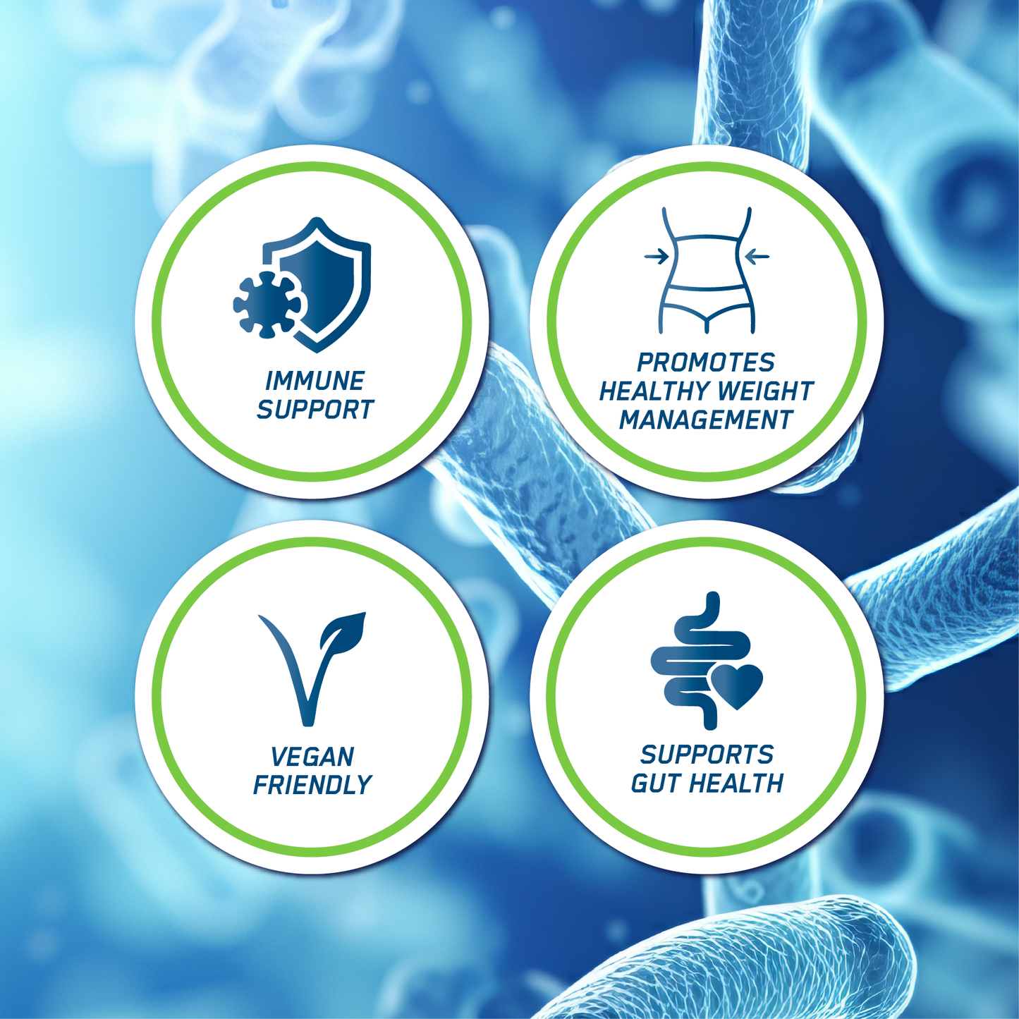 Probiotic - Advanced Multi-Strain Formula  60 caps