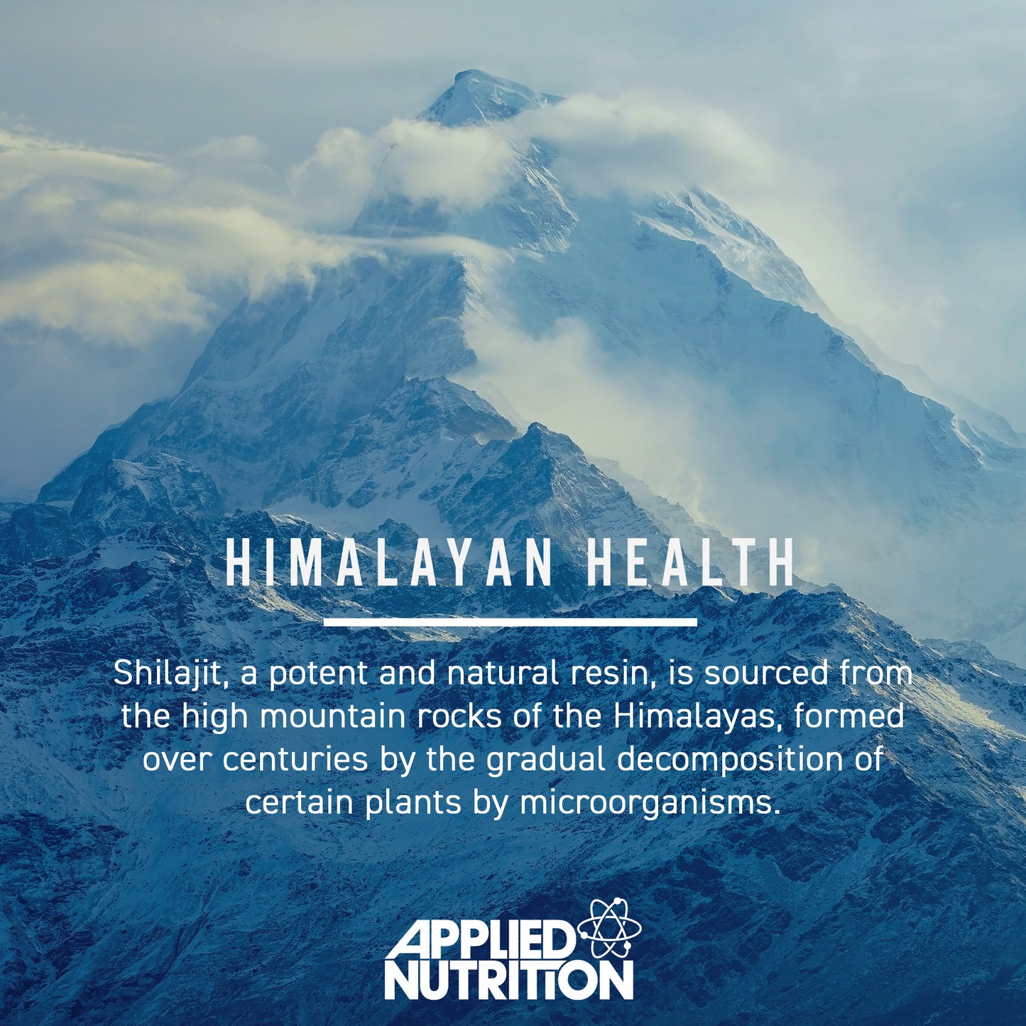 Shilajit 90 Caps